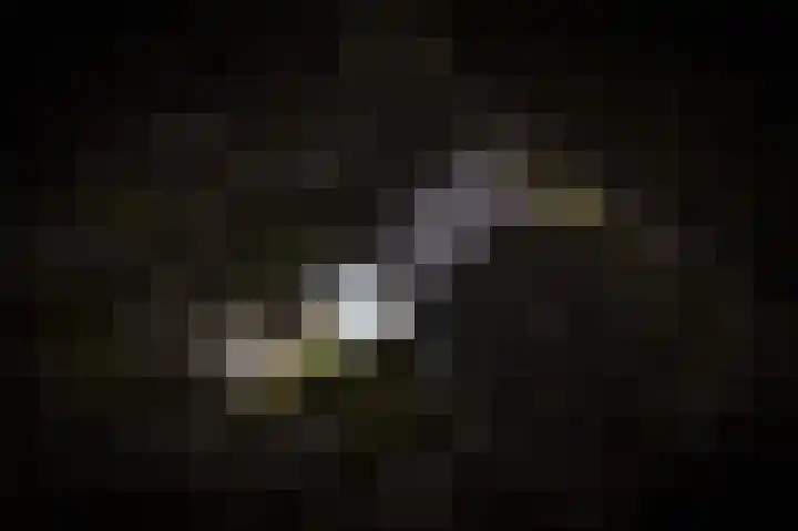 Veldlaan 21 Beneden-Leeuwen thumbnail 38