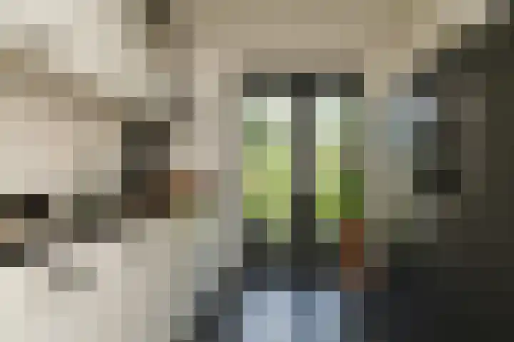 Veldlaan 21 Beneden-Leeuwen thumbnail 6