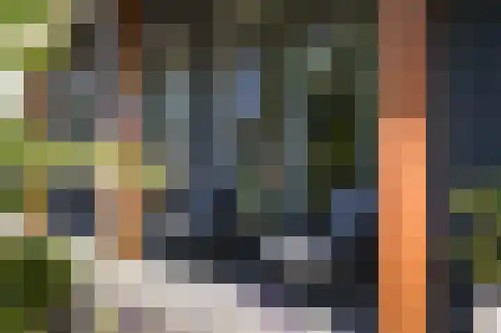 Veldlaan 21 Beneden-Leeuwen thumbnail 9