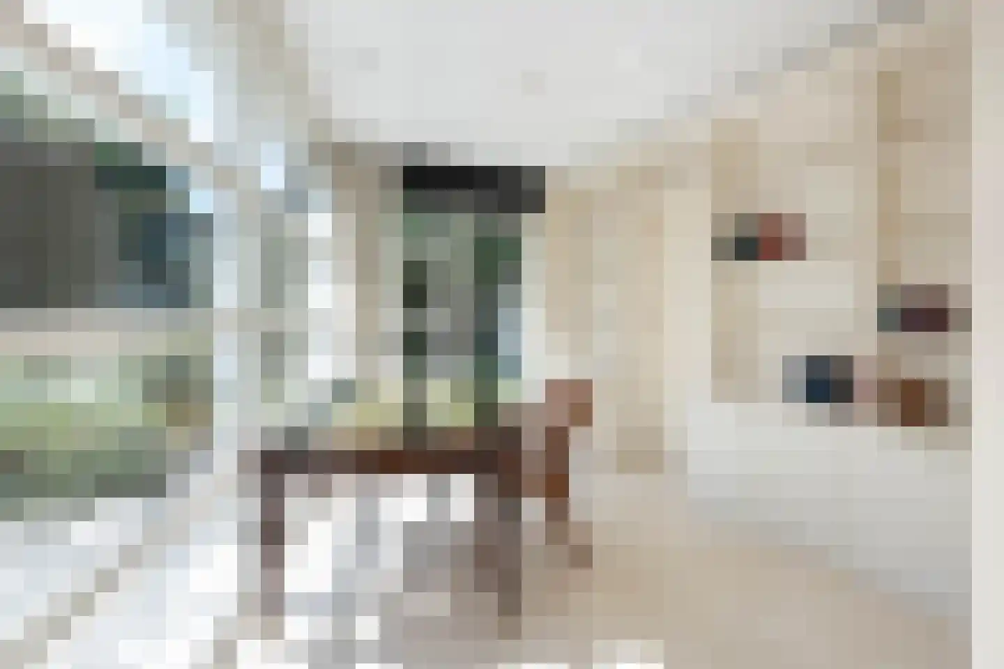 Veldlaan 26 Aerdenhout thumbnail 8