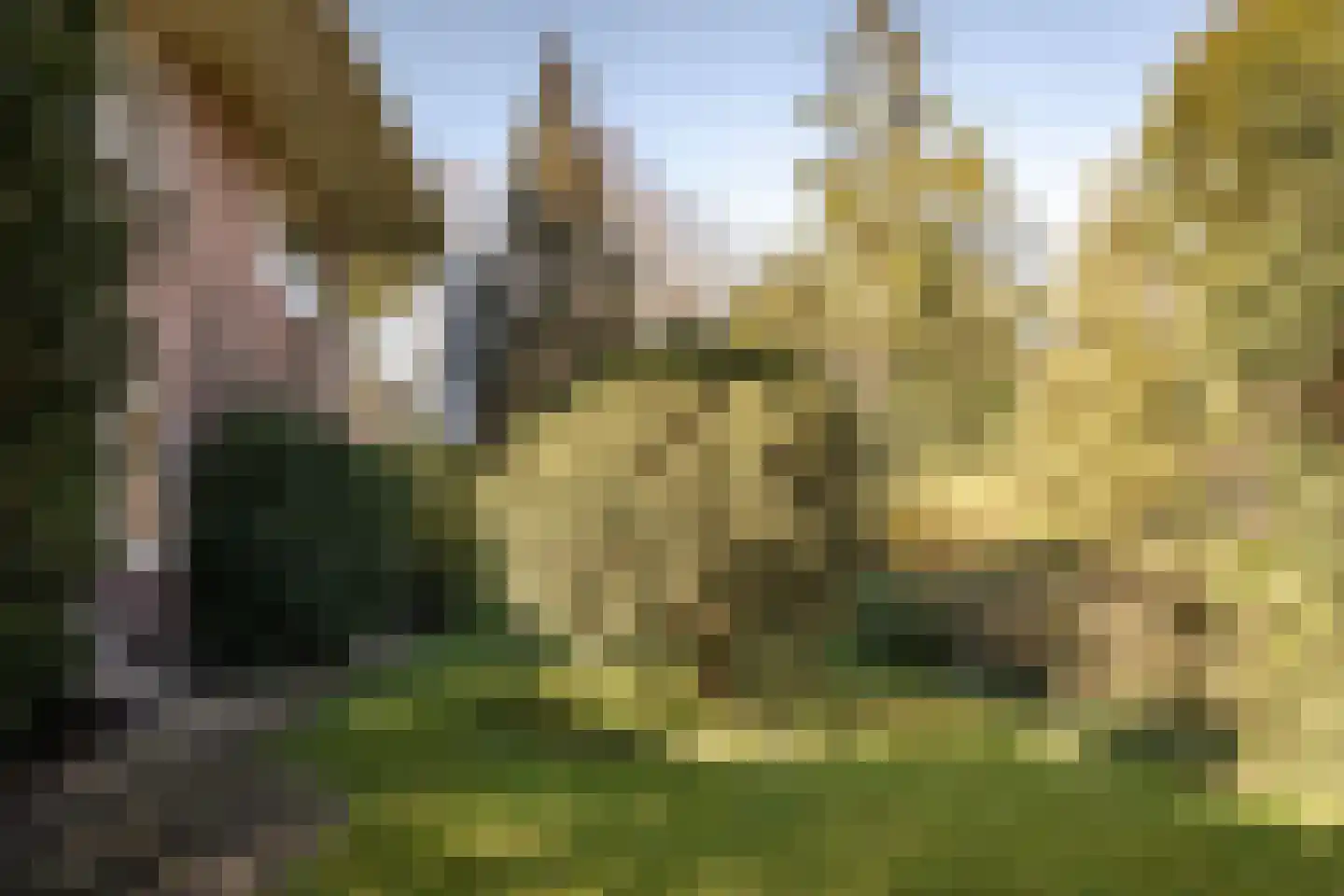 Veldlaan 32 Aerdenhout thumbnail 16