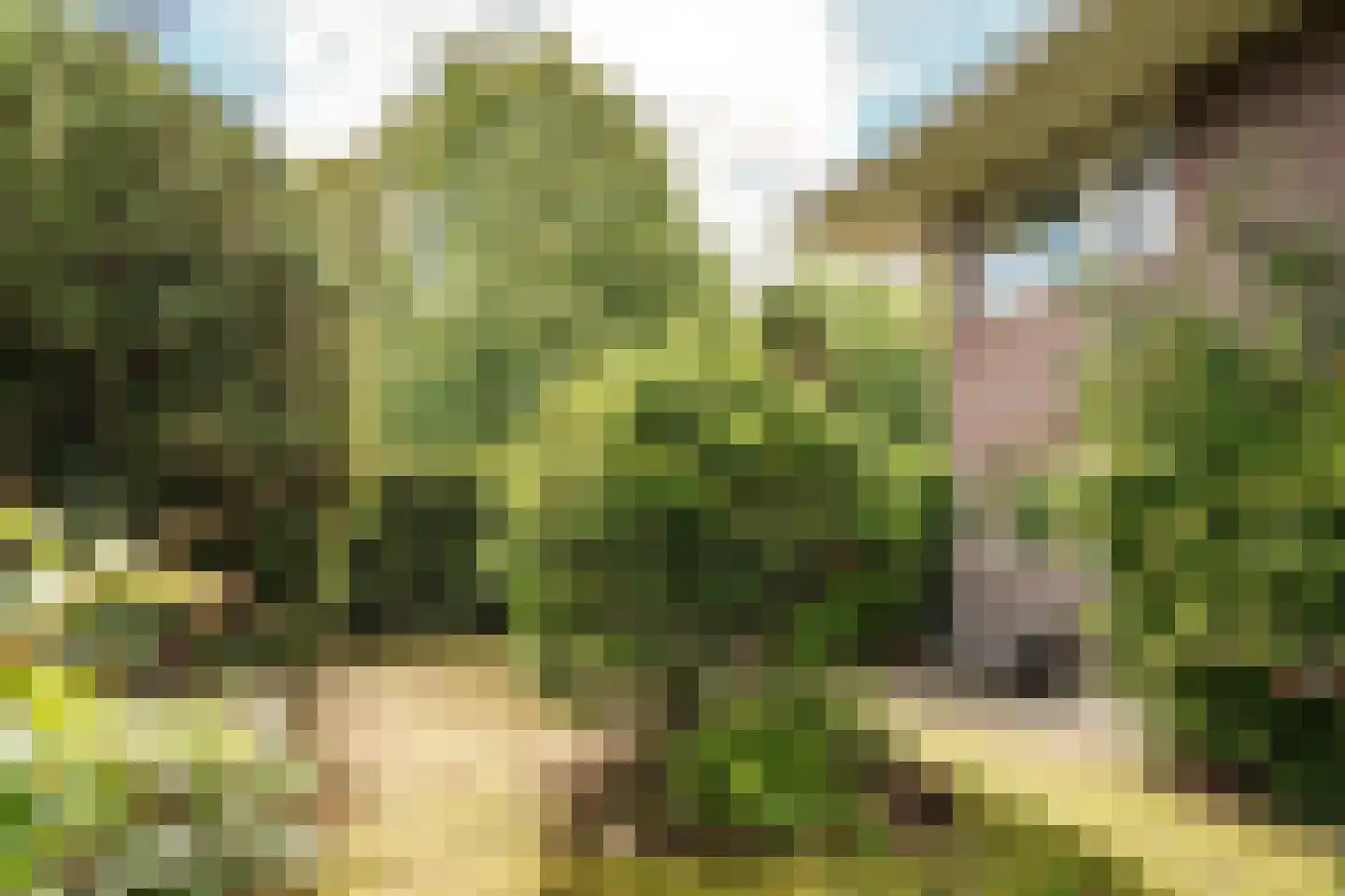 Veldlaan 32 Aerdenhout thumbnail 20