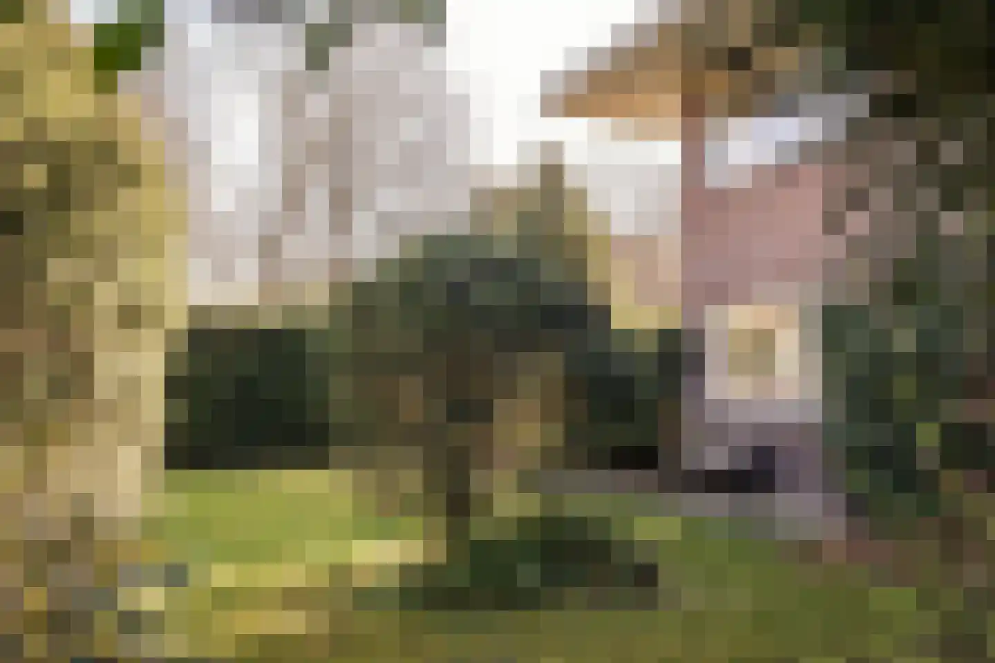 Veldlaan 32 Aerdenhout thumbnail 22