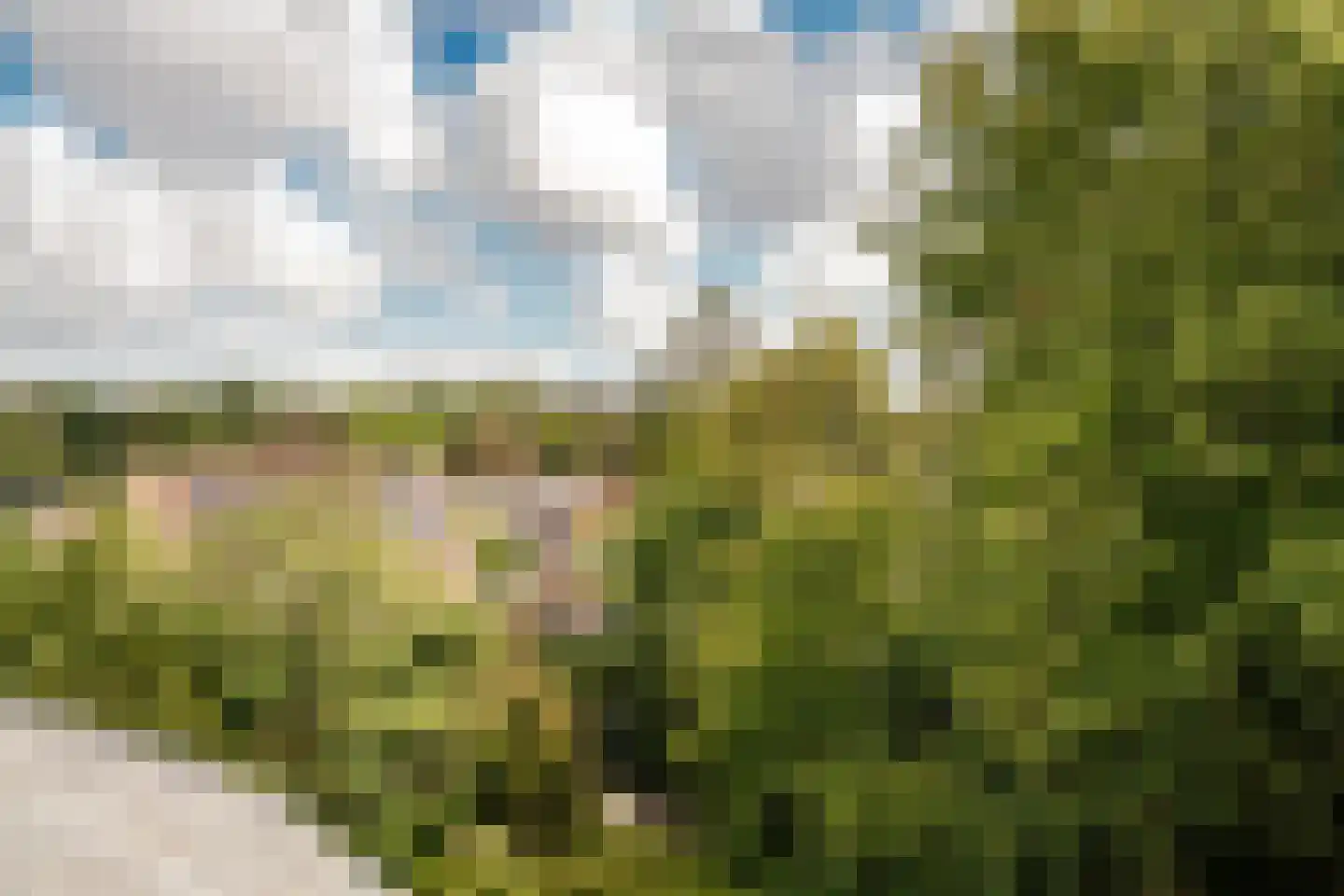 Veldlaan 32 Aerdenhout thumbnail 44