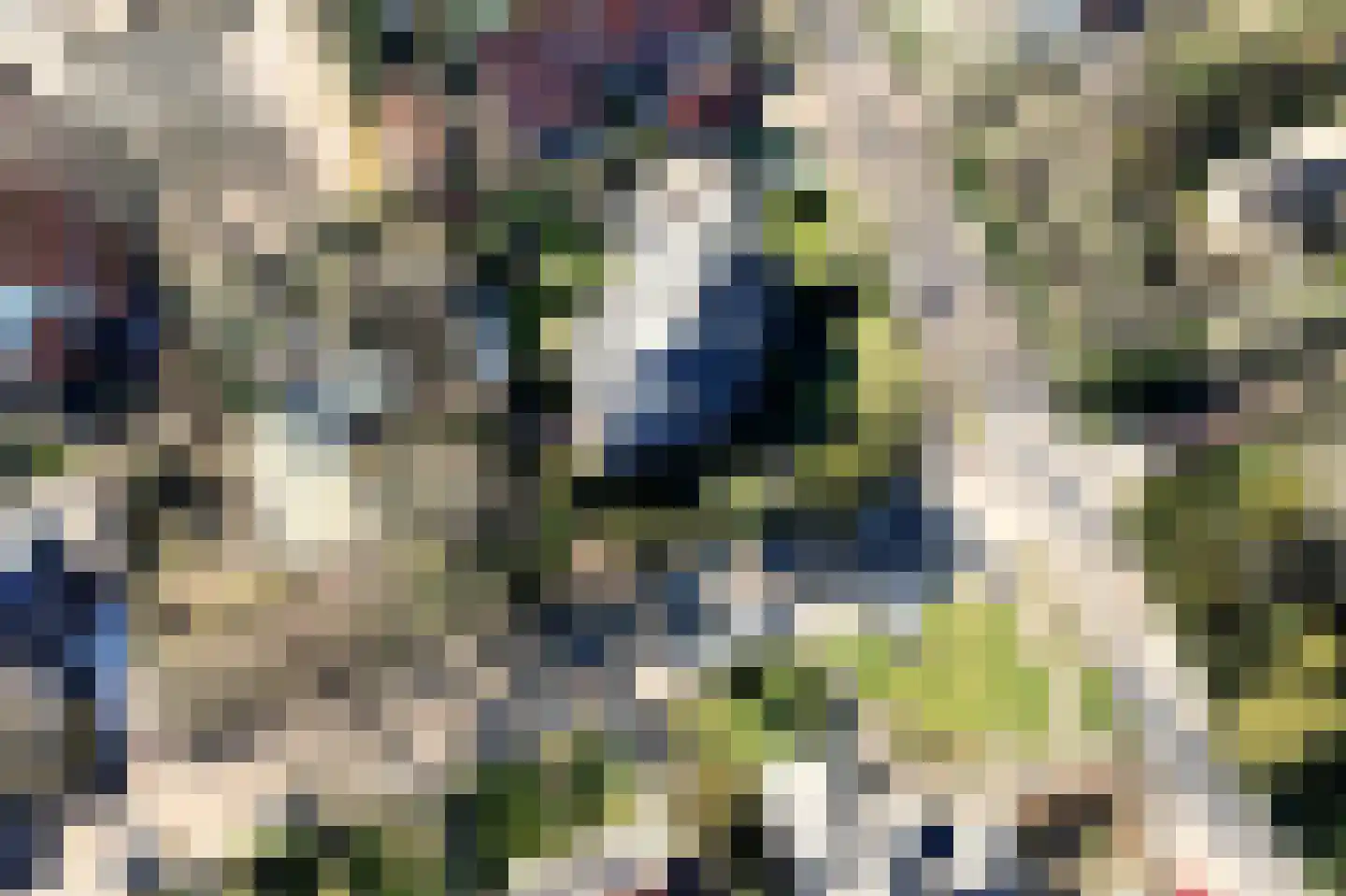 Veldlaan 32 Aerdenhout thumbnail 47