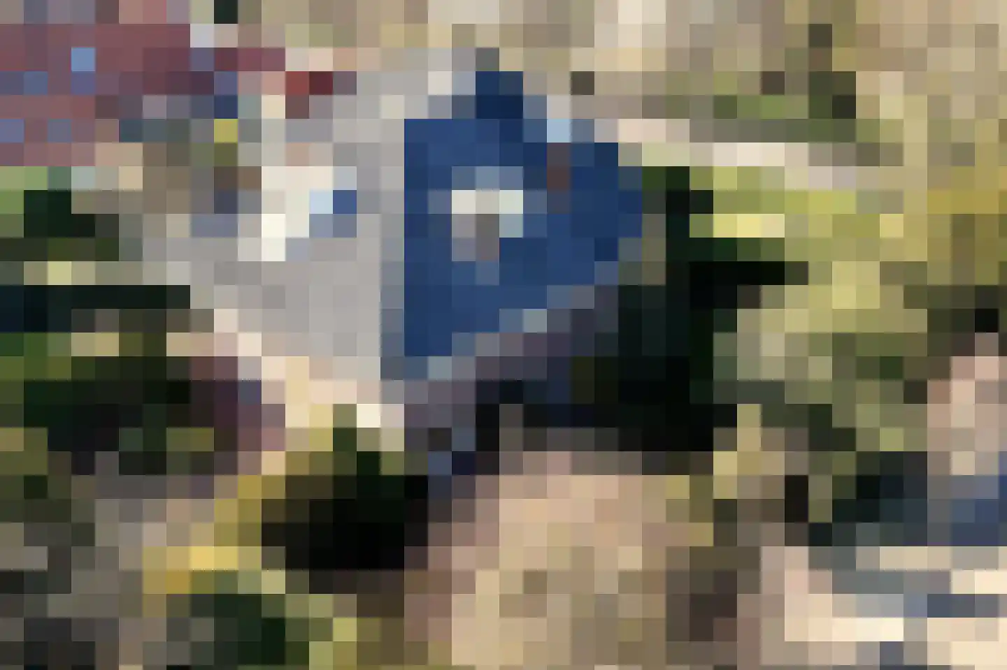 Veldlaan 32 Aerdenhout thumbnail 5
