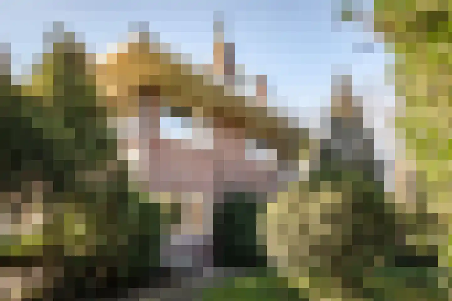 Veldlaan 32 Aerdenhout thumbnail 6