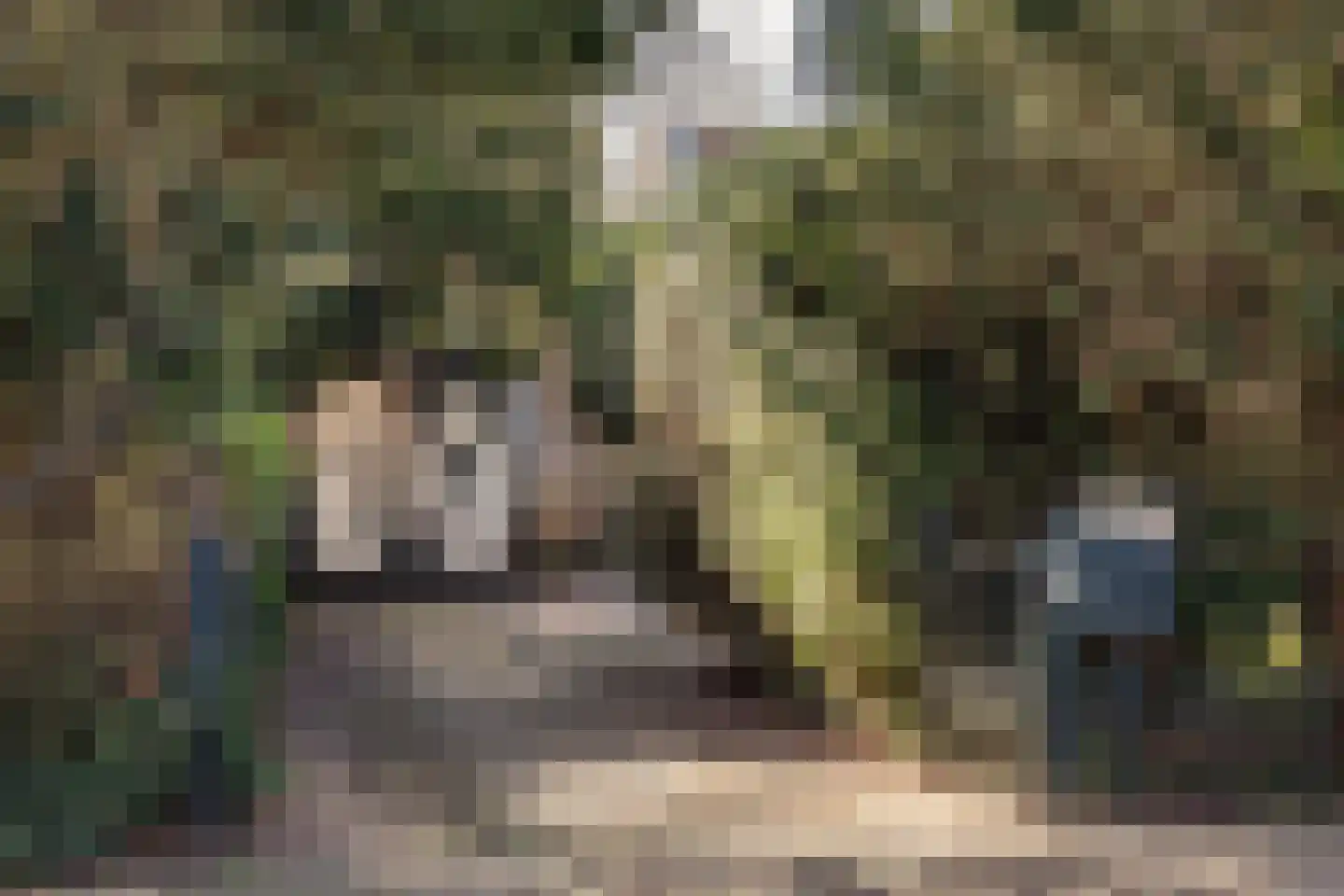 Veldlaan 32 Aerdenhout thumbnail 7