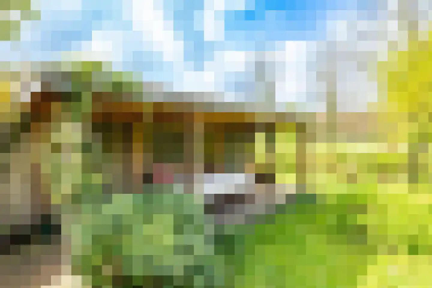 Veldlaan 47 Groenekan thumbnail 33