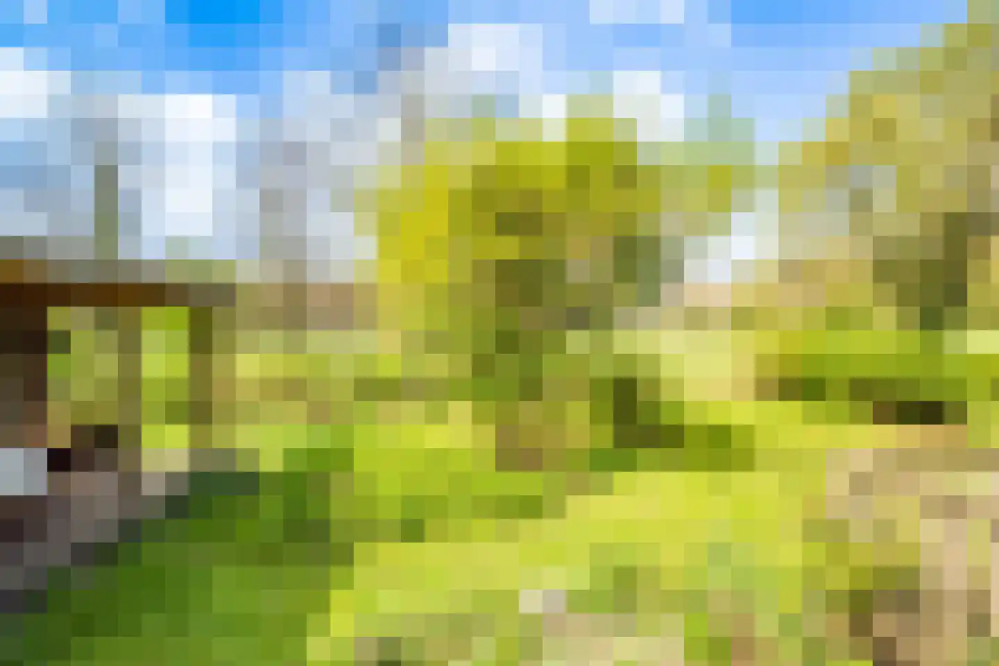 Veldlaan 47 Groenekan thumbnail 34