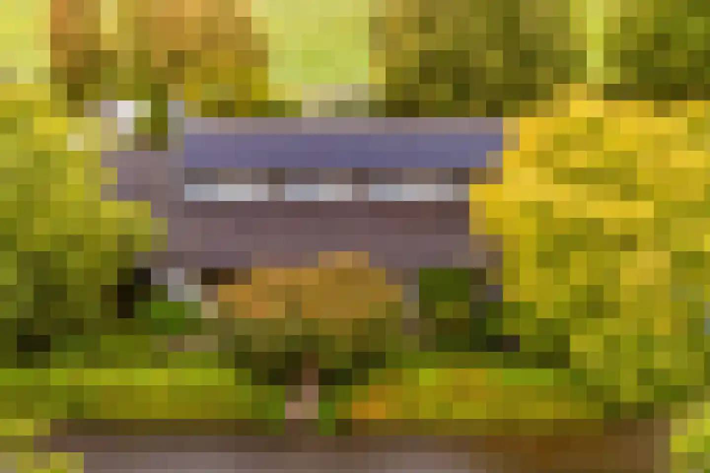 Veldlaan 47 Groenekan thumbnail 38
