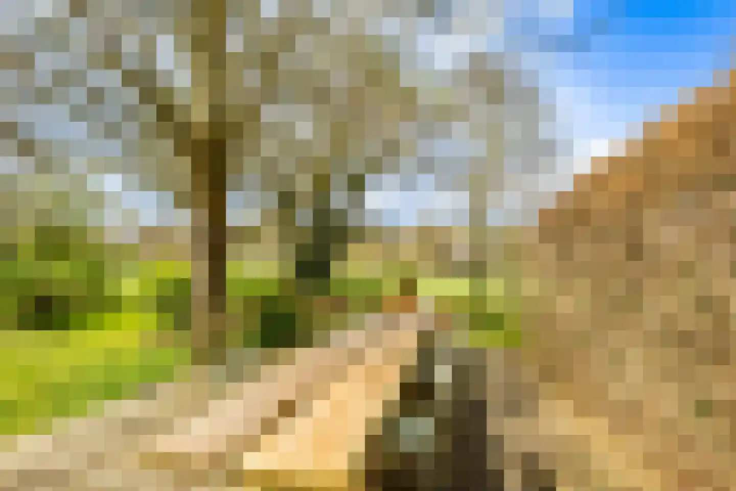 Veldlaan 47 Groenekan thumbnail 46