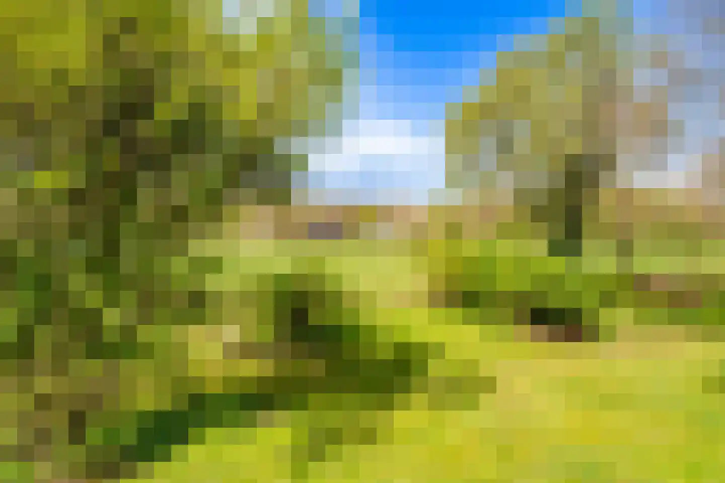 Veldlaan 47 Groenekan thumbnail 49