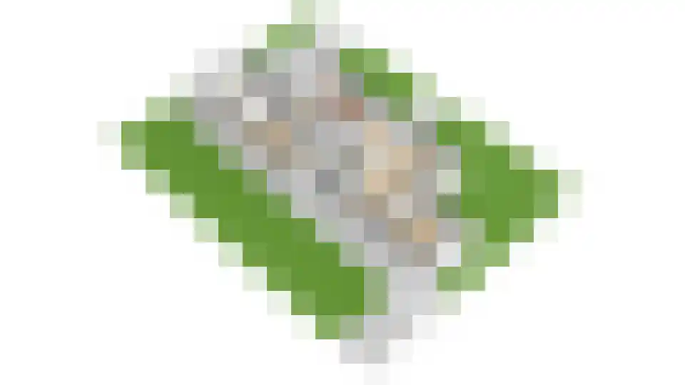 Veldlaan 47 Groenekan thumbnail 61