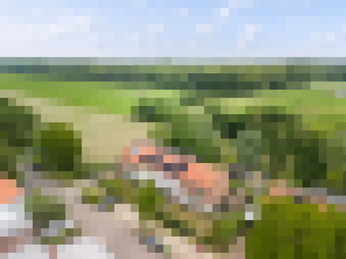Veldlaan 52 Groenekan