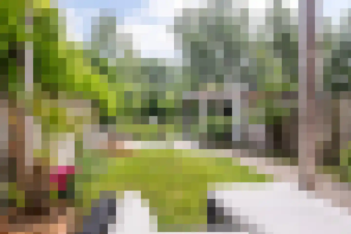 Veldlaan 52 Groenekan thumbnail 20