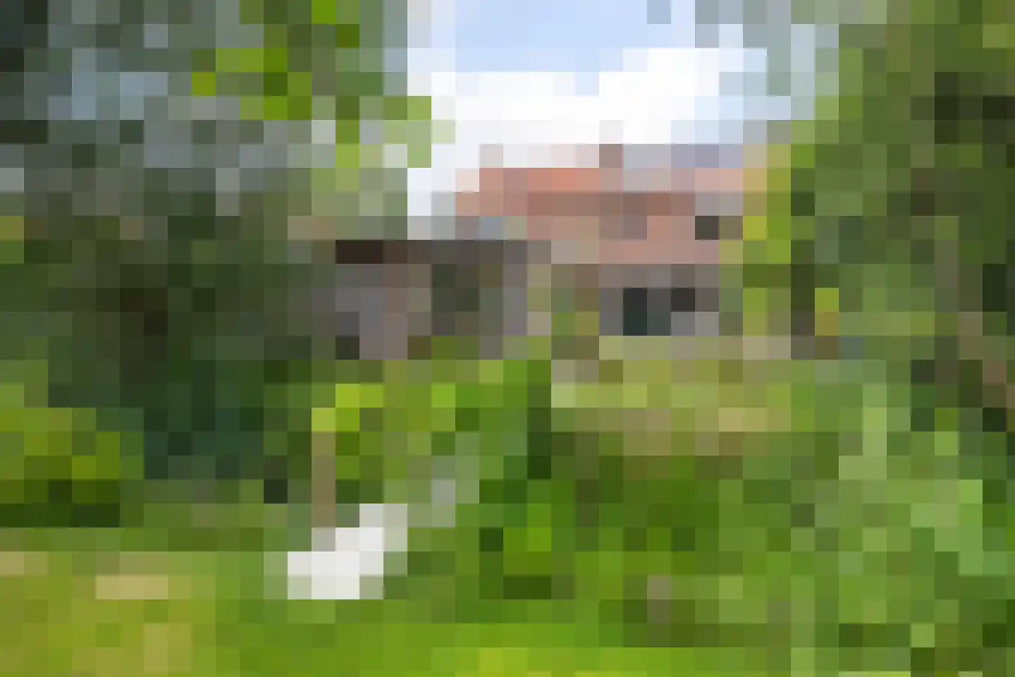 Veldlaan 52 Groenekan thumbnail 23