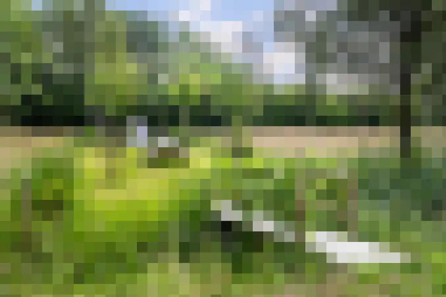 Veldlaan 52 Groenekan thumbnail 24