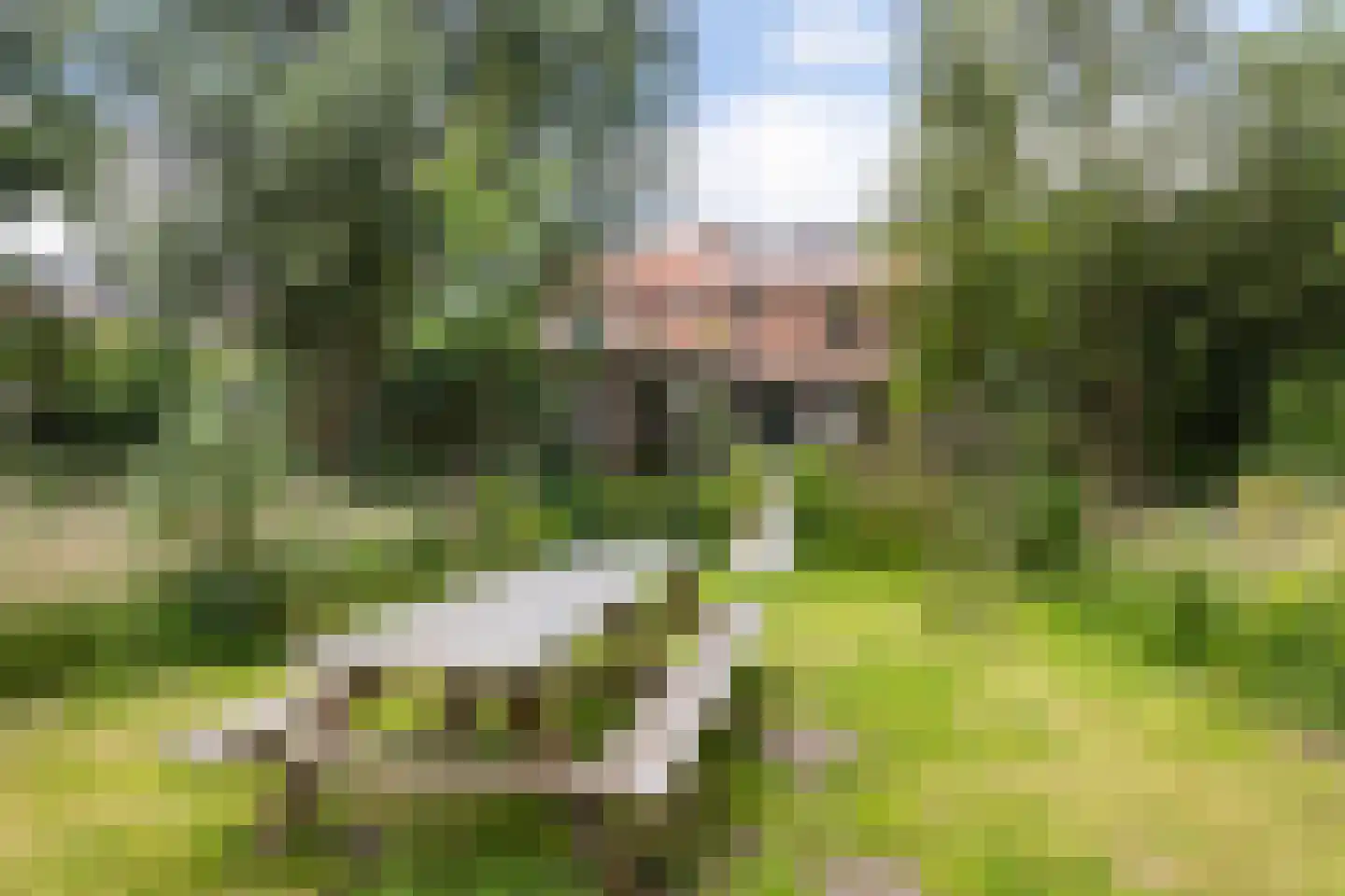 Veldlaan 52 Groenekan thumbnail 27