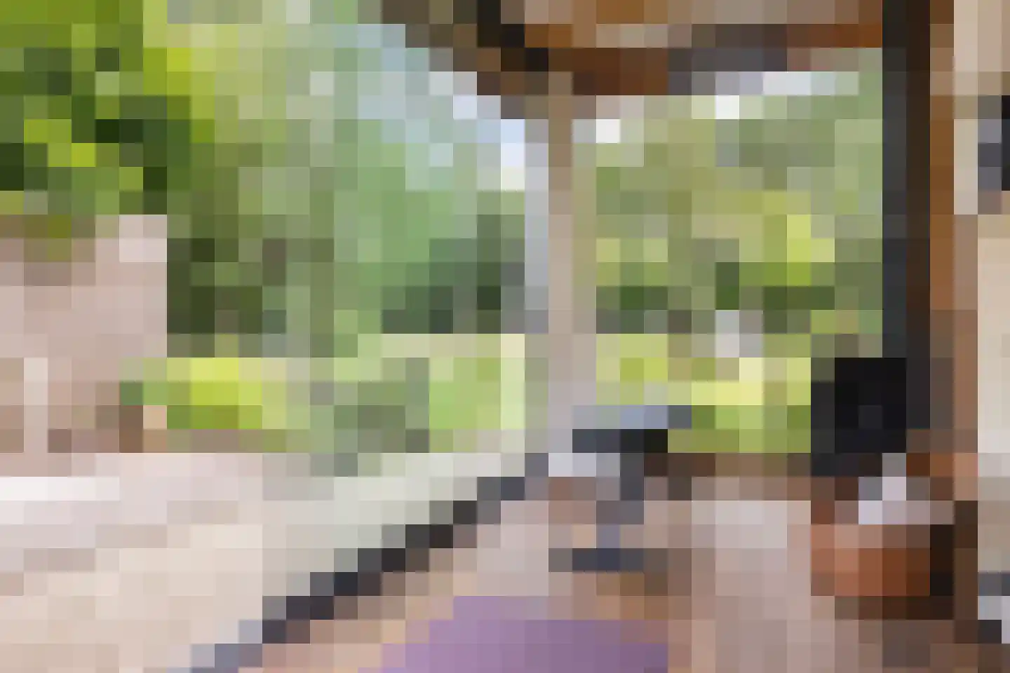Veldlaan 52 Groenekan thumbnail 32