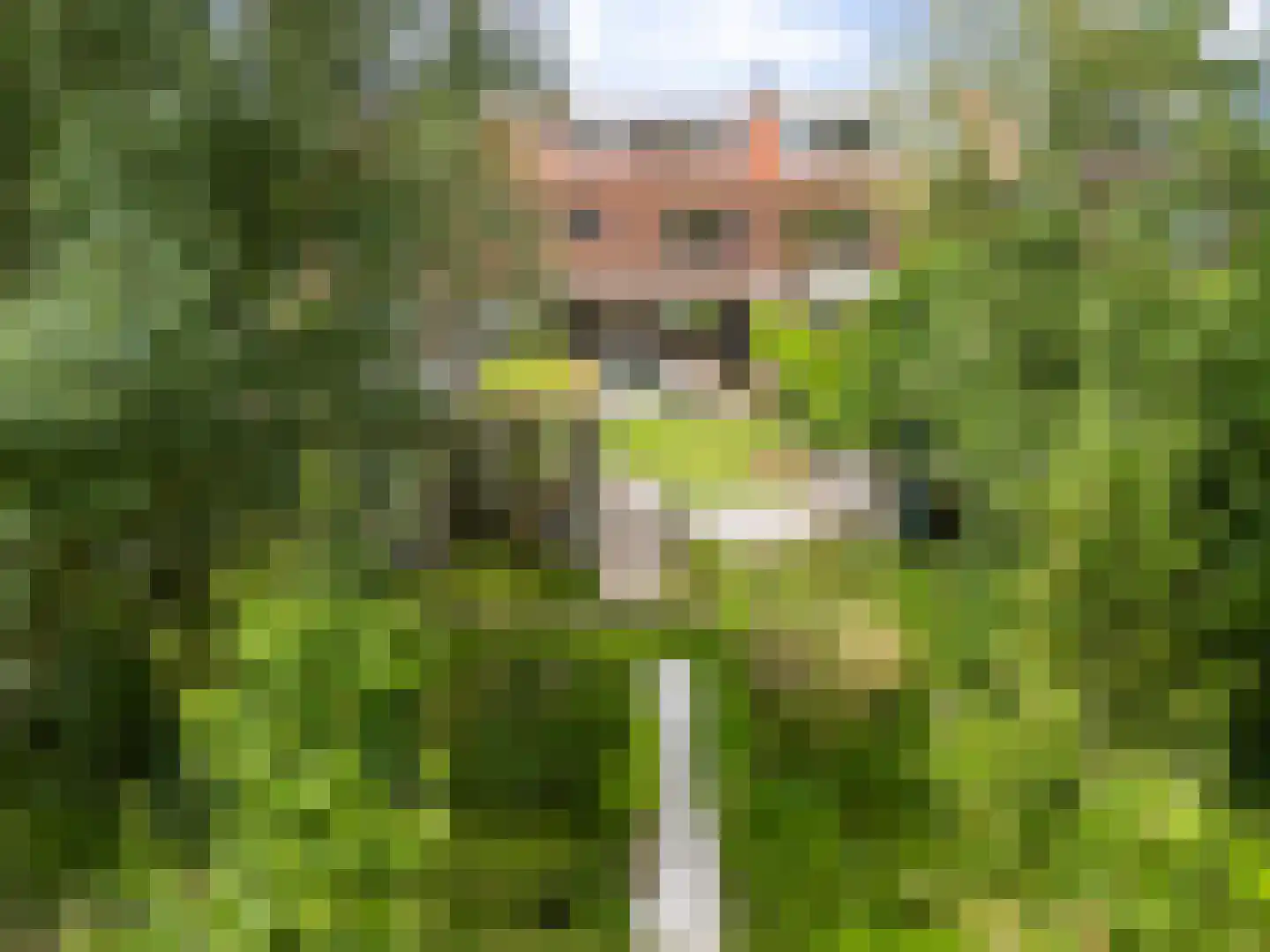 Veldlaan 52 Groenekan thumbnail 4