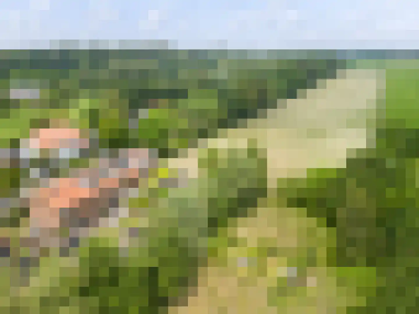 Veldlaan 52 Groenekan thumbnail 43