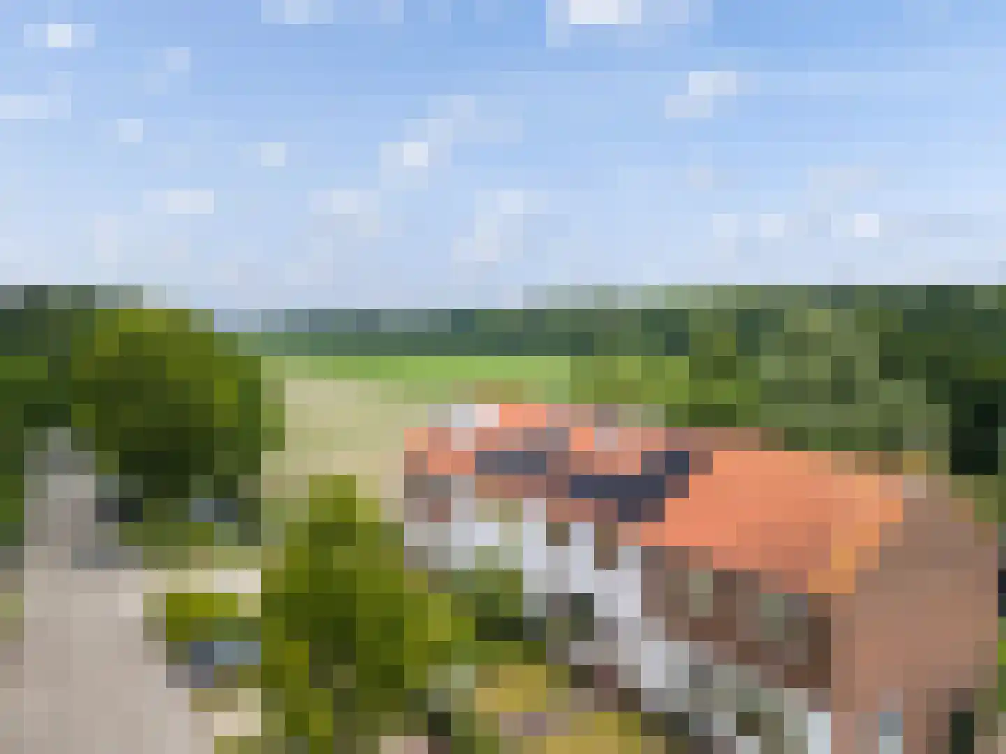 Veldlaan 52 Groenekan thumbnail 46