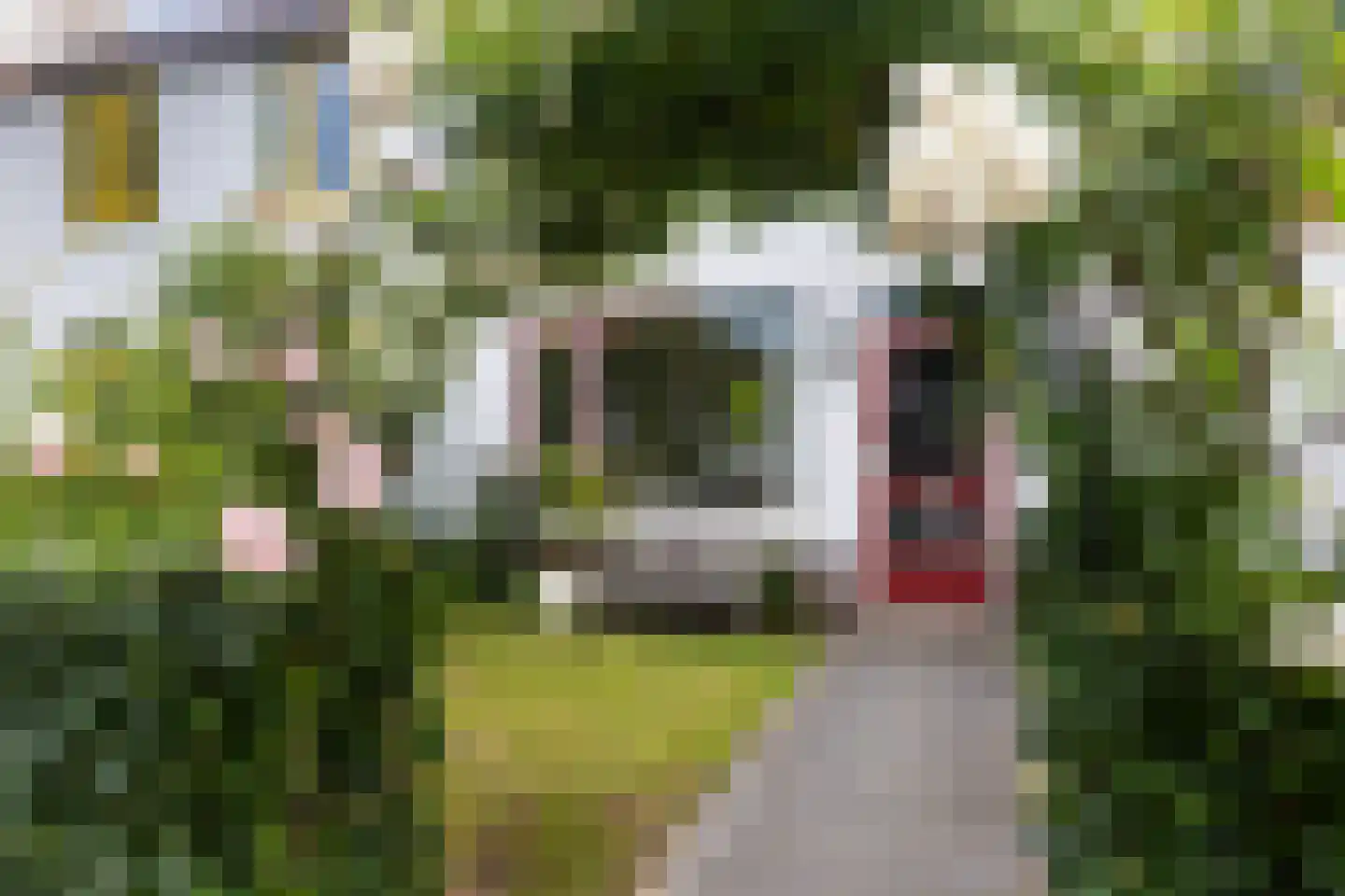 Veldlaan 52 Groenekan thumbnail 5