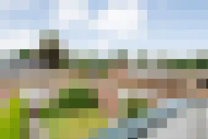 Veldlaan 56 Emmen thumbnail 25