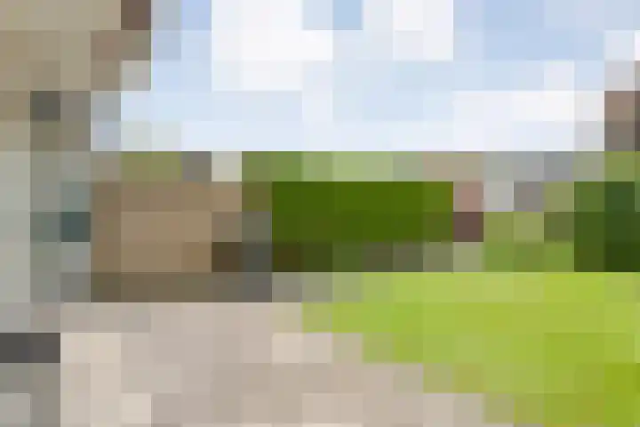 Veldlaan 56 Emmen thumbnail 28