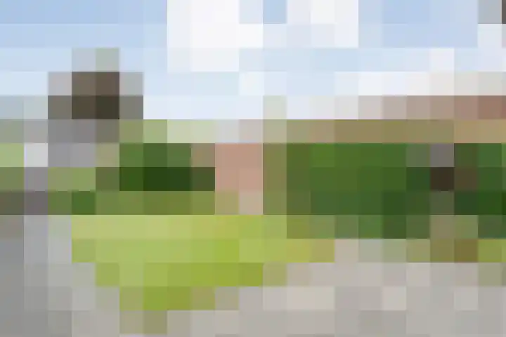 Veldlaan 56 Emmen thumbnail 29