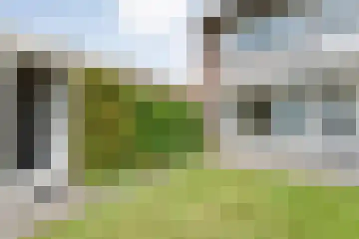 Veldlaan 56 Emmen thumbnail 30