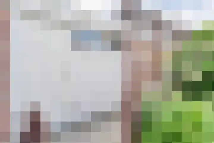 Veldlaan 56 Emmen thumbnail 35