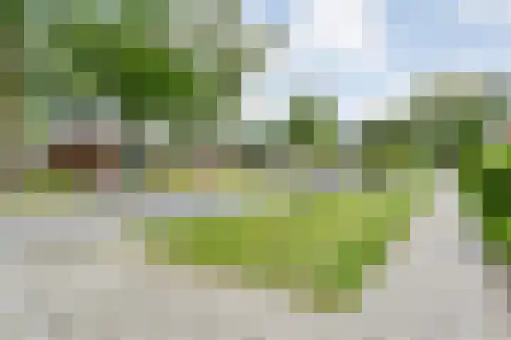 Veldlaan 56 Emmen thumbnail 37