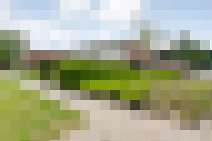 Veldlaan 56 Emmen thumbnail 5