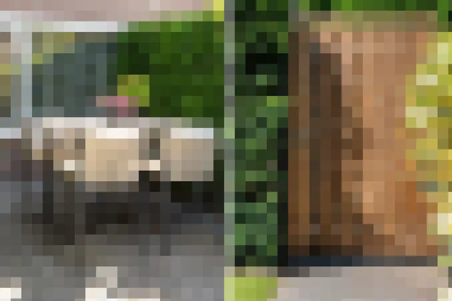 Veldlaan 9 Aerdenhout thumbnail 10
