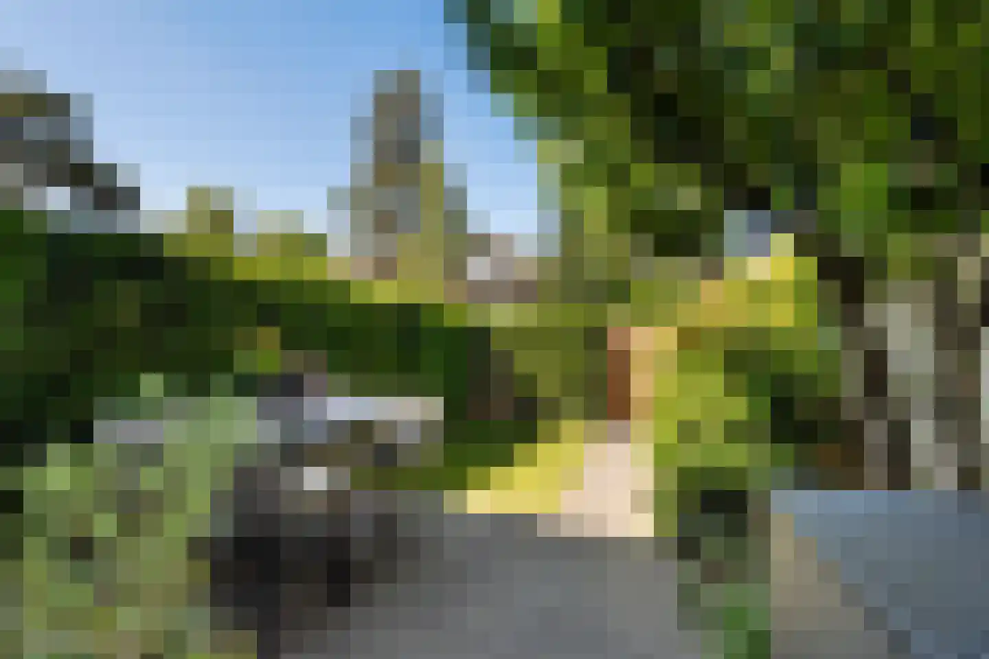 Veldlaan 9 Aerdenhout thumbnail 4