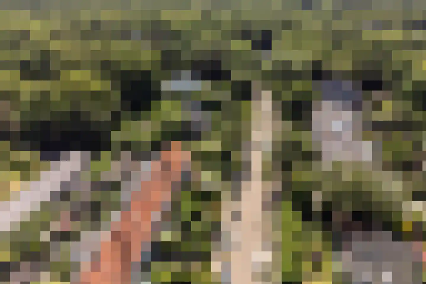 Veldlaan 9 Aerdenhout thumbnail 5