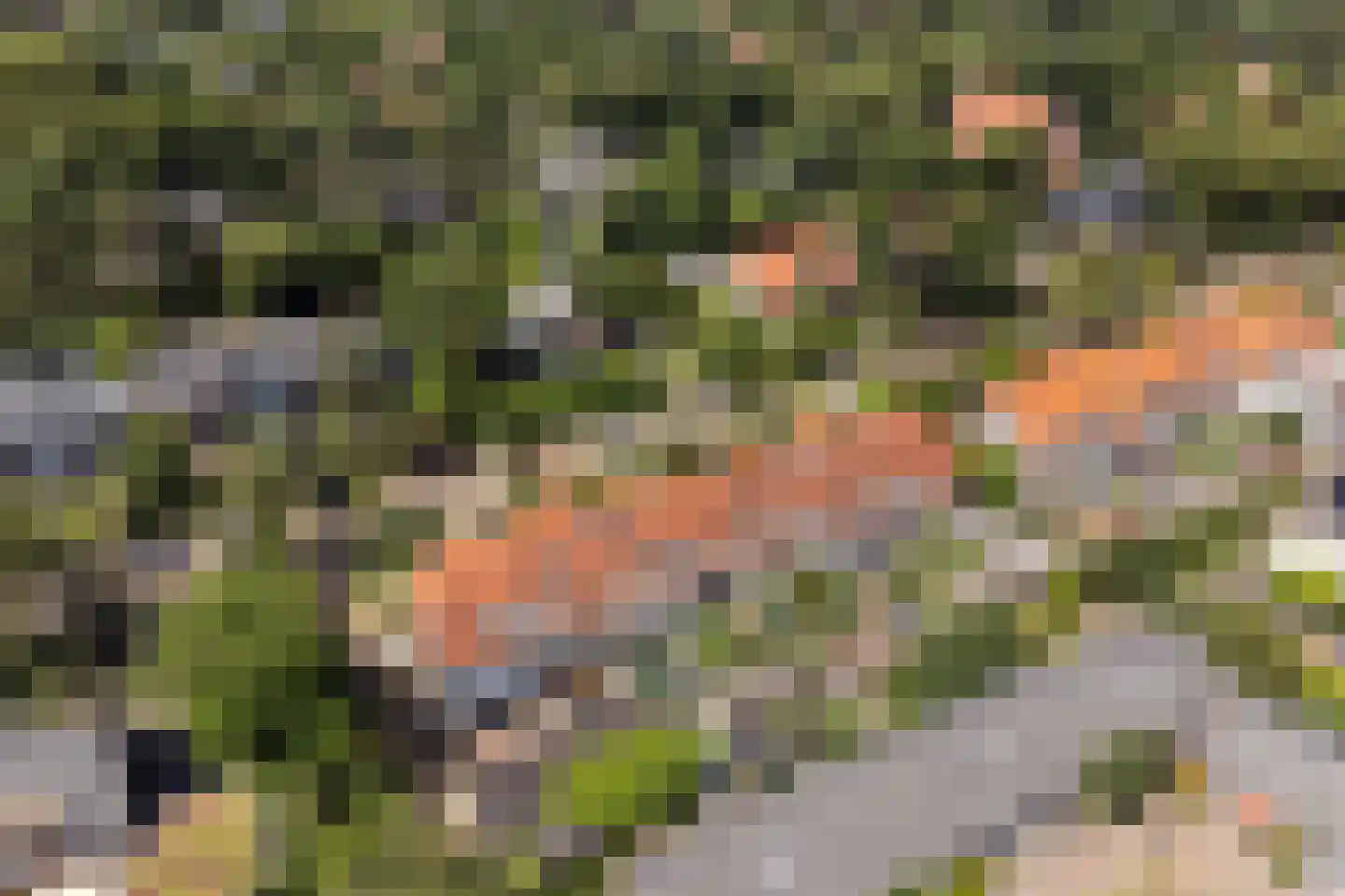 Veldlaan 9 Aerdenhout thumbnail 51