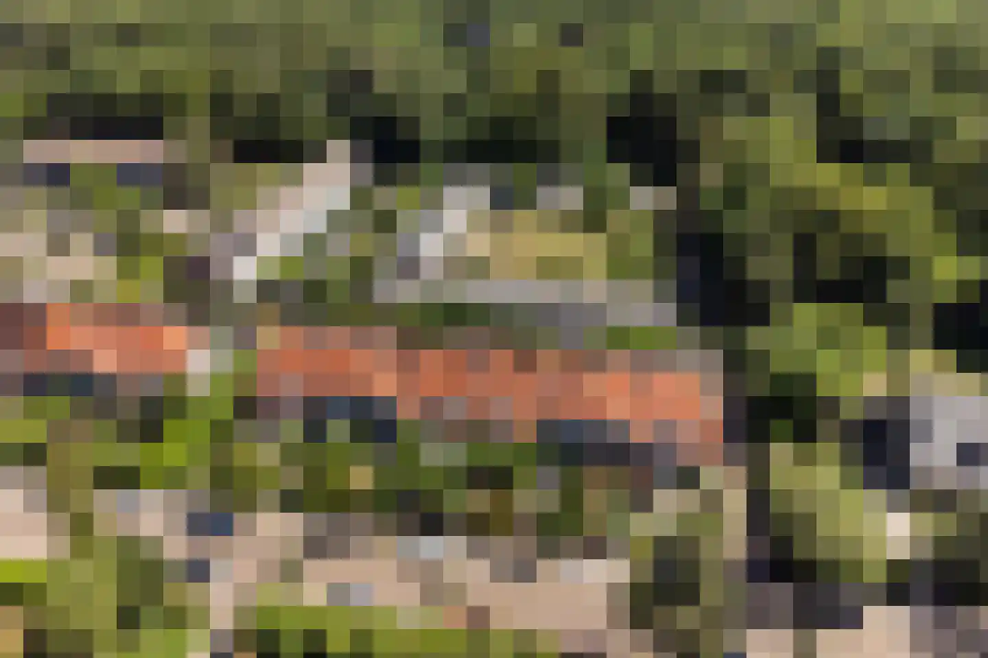 Veldlaan 9 Aerdenhout thumbnail 52