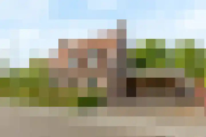 Veldleeuwerik 1 dans Tubbergen