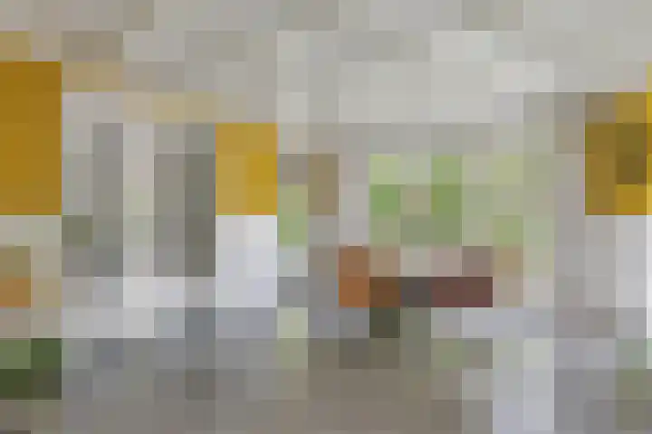 Veldleeuwerik 1 Tubbergen thumbnail 12