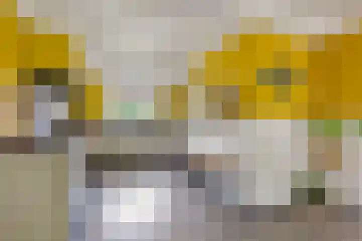 Veldleeuwerik 1 Tubbergen thumbnail 13