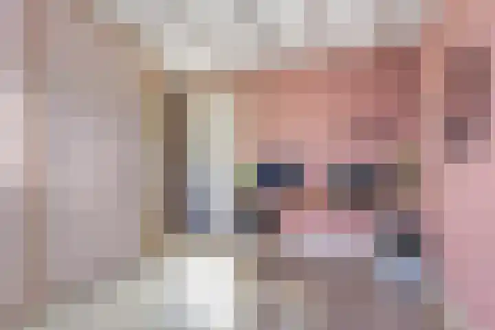 Veldleeuwerik 1 Tubbergen thumbnail 14
