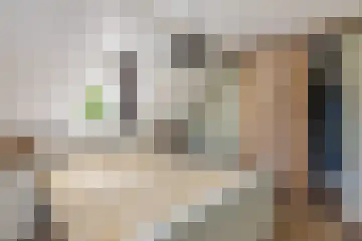 Veldleeuwerik 1 Tubbergen thumbnail 17