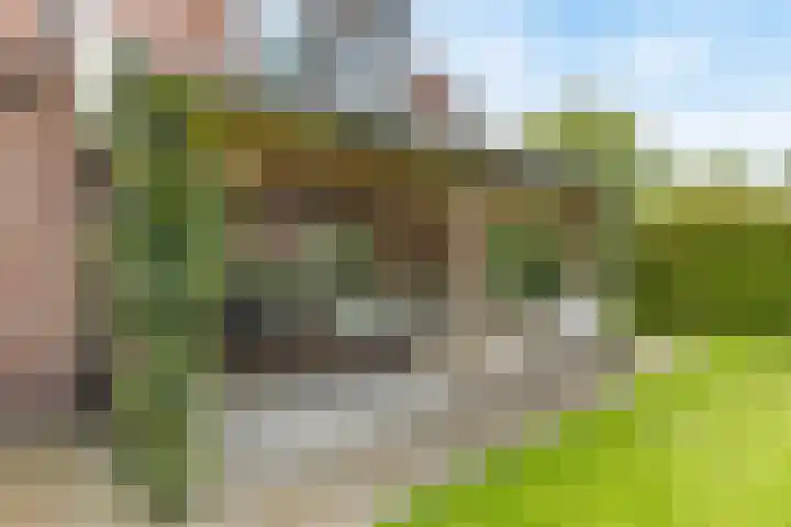 Veldleeuwerik 1 Tubbergen thumbnail 21