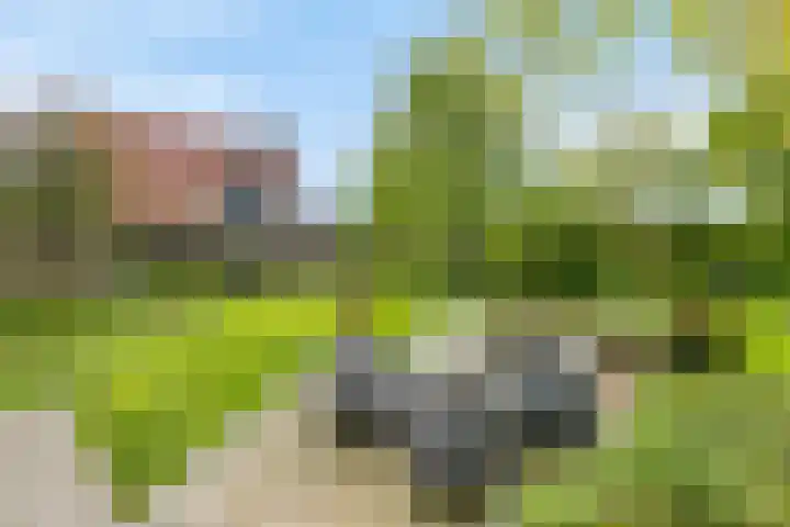 Veldleeuwerik 1 Tubbergen thumbnail 23