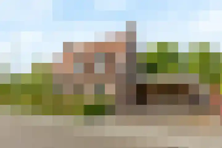 Veldleeuwerik 1 Tubbergen thumbnail 28