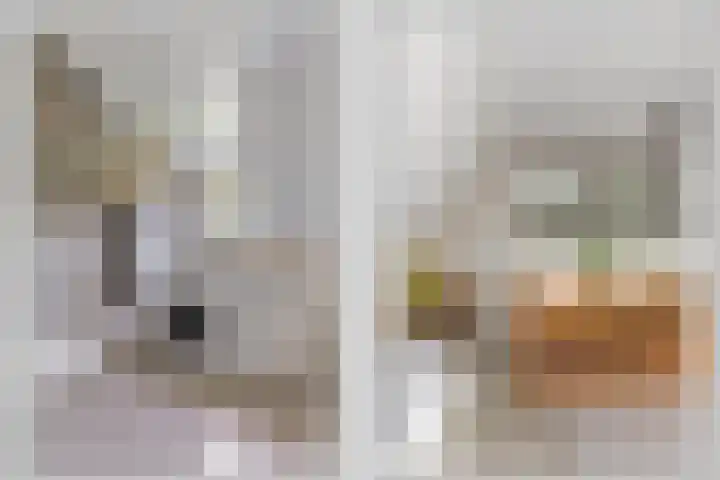Veldleeuwerik 1 Tubbergen thumbnail 4