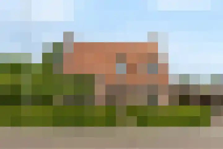 Veldleeuwerik 1 Tubbergen thumbnail 6